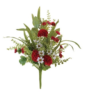 Mixed Carnation Bush