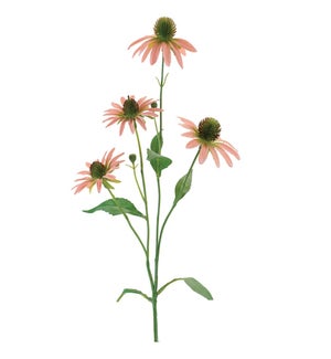Cone Flower Spray