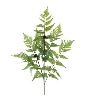 Fern Spray