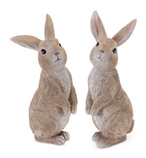 Rabbit (2 Asst)