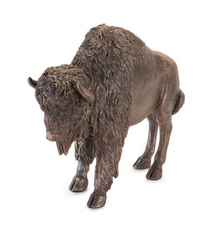 Bison