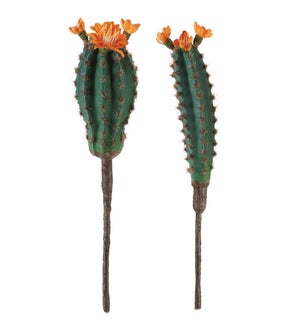 Cactus (Set of 2)