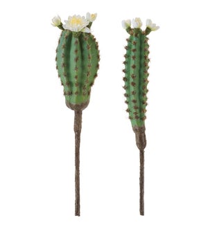 Cactus (Set of 2)