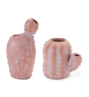 Cactus Vase (2 Asst)