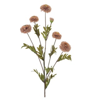 Button Mum Spray