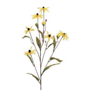 Cone Flower Spray