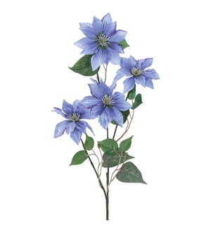 Clematis Spray