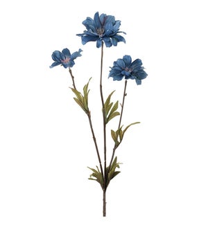 Cosmos Spray