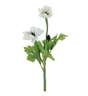 Anemone Spray