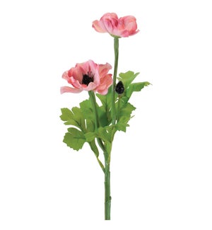 Anemone Spray
