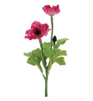 Anemone Spray