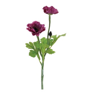 Anemone Spray