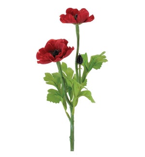 Anemone Spray