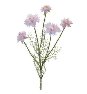 Corn Flower Spray