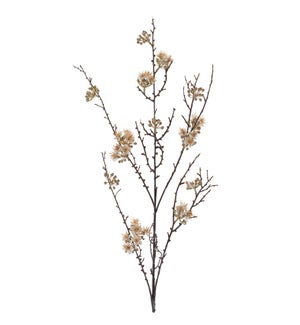 Blossom Branch
