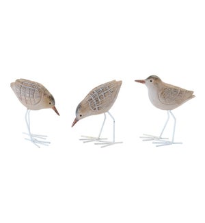Beach Bird (3 Asst)