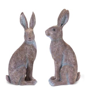 Rabbit (2 Asst)