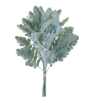 Dusty Miller Bundle