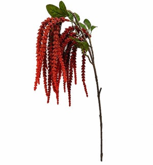 Amaranthus Spray