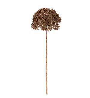 Allium Stem