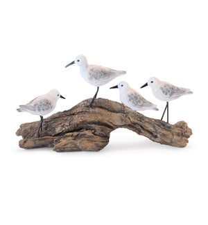 Birds on Driftwood
