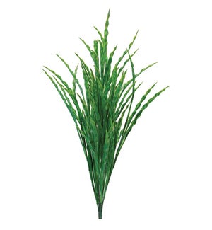 Bird's Nest Grass Bush