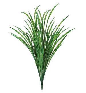 Bird's Nest Grass Bush