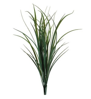 Himalayas Grass Bush