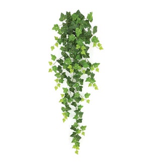 Hanging Ivy Vine