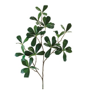 Indian Almond Spray