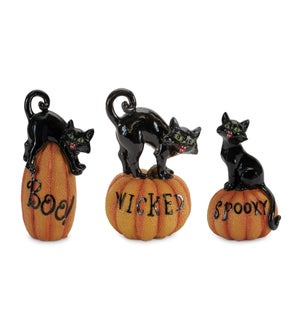 Cat on Pumpkin (3 Asst)