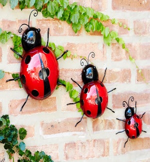 Wall Mountable Ladybugs (Set of 3)