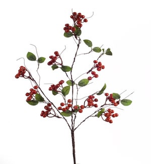 Berry Spray