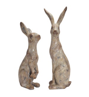 Rabbit (2 Asst)