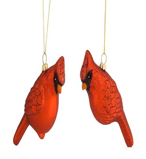 Cardinal Ornament (2 Asst)