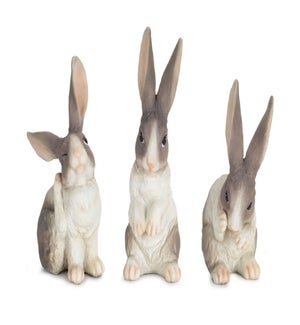 Rabbit (3 Asst)