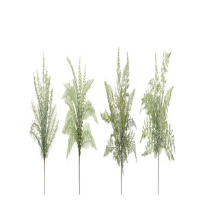 Fern Bush (4 Asst)