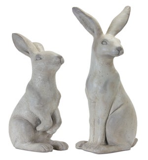 Rabbit (2 Asst)