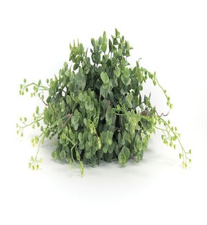 Boxwood Half Orb
