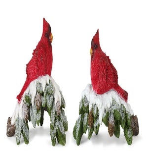 Cardinal on Branch (2 Asst)