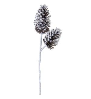 Pine Cone Spray