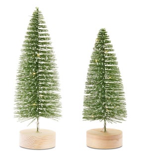 Tree with LED (Set of 2)