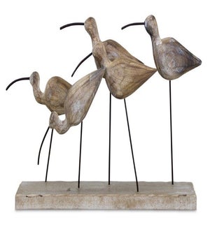 Birds