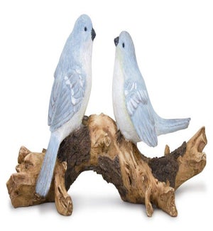Birds on Branch