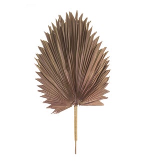 Fan Palm Leaf