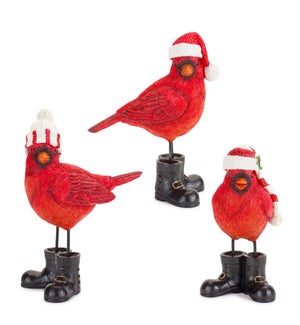 Cardinal (3 Asst)