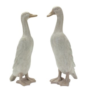 Duck (2 Asst)