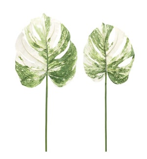 Philo Leaf (Set of 2)