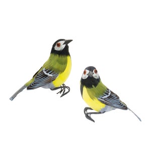 Bird (2 Asst)
