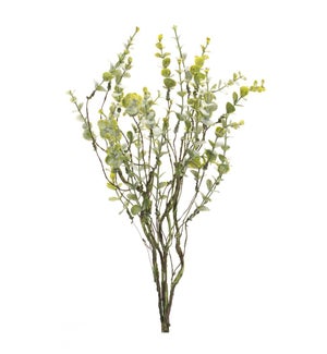 Boxwood Spray